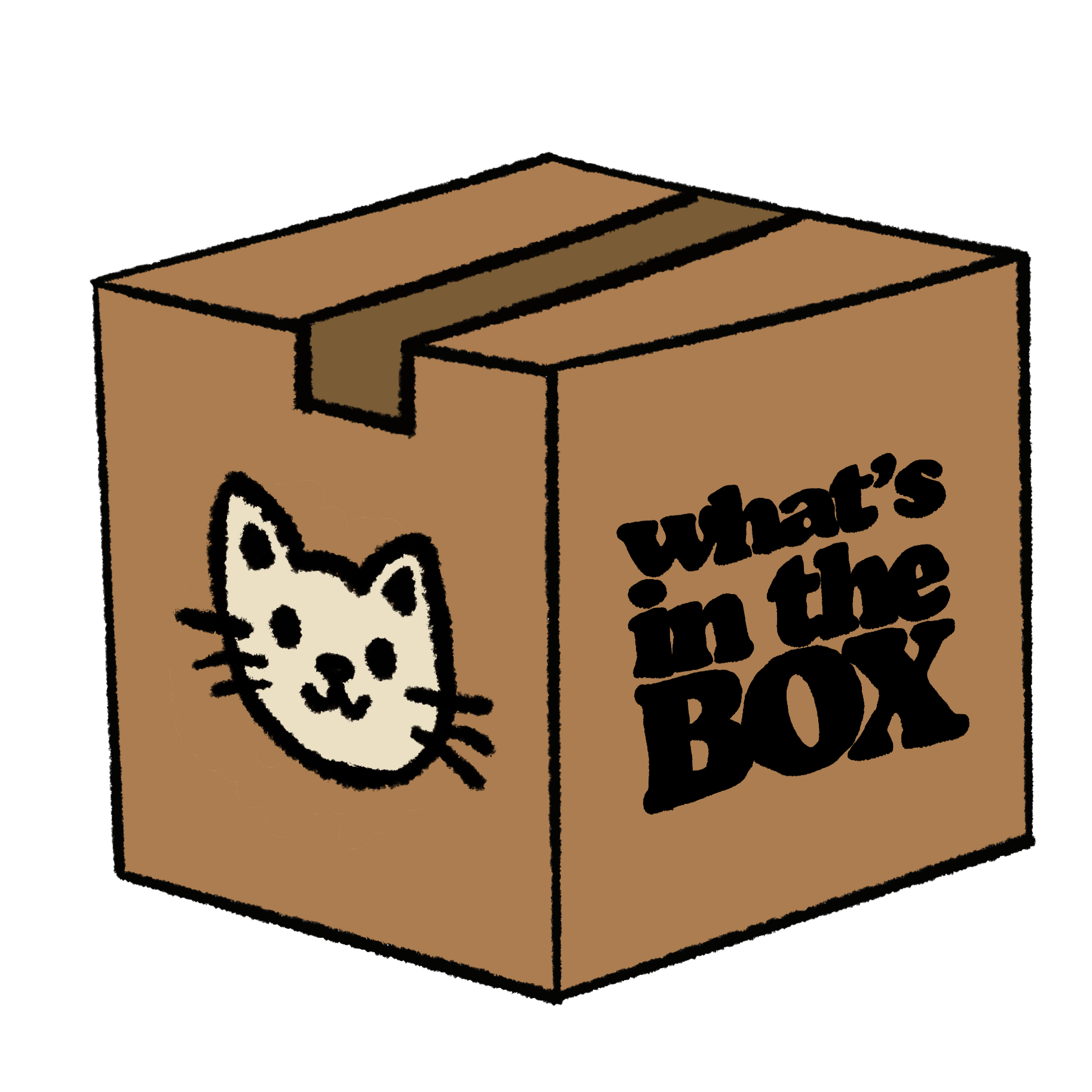 Cat toy box clearance
